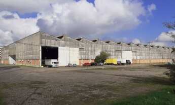 Imagem: Galpão para alugar no bairro Anchieta