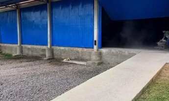 Imagem 5: Galpão isolado para locação em Gravataí, RS, 3.800m², pé direito 10m, docas elevadas, junt