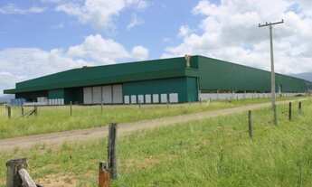 Imagem 5: PAVILHÃO LOGÍSTICO/INDUSTRIAL em TRÊS CACHOEIRAS - RS, Industrial