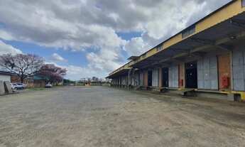 Imagem 2: Módulo logístico para alugar em condomínio, Porto Alegre, RS, Crossdocking, 5 Docas e jun