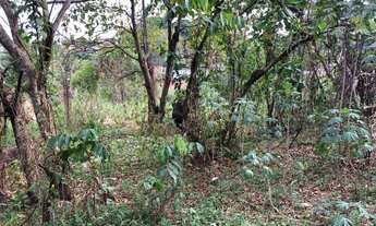 Imagem 3: Excelente terreno a poucos metros da Avenida das Torres , de 2400 metros quadrados