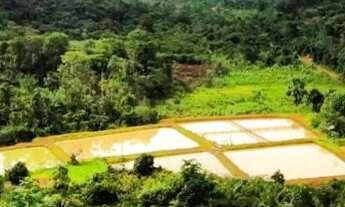 Imagem: SITIO RURAL em PRESIDENTE FIGUEIREDO - AM