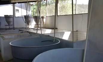 Imagem 3: SITIO RURAL em PRESIDENTE FIGUEIREDO - AM, ÁREA RURAL