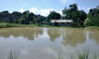 Imagem 7: SITIO RURAL em PRESIDENTE FIGUEIREDO - AM, ÁREA RURAL
