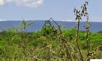 Imagem 3: FAZENDA RURAL em SENTO SÉ - BA, RURAL