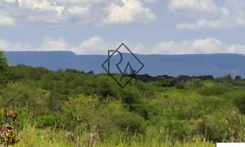Imagem 2: FAZENDA RURAL em SENTO SÉ - BA, RURAL