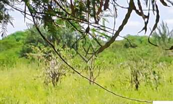Imagem 7: FAZENDA RURAL em SENTO SÉ - BA, RURAL