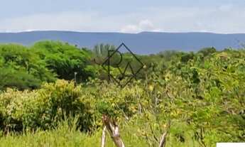 Imagem 6: FAZENDA RURAL em SENTO SÉ - BA, RURAL
