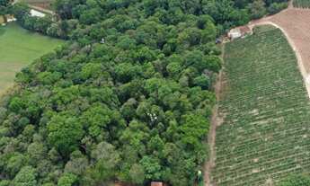 Imagem 4: Belíssimo chácara a venda com 20.000 A/T e 443 A/C, bairro Jundiaí Mirim em Jundiaí-SP