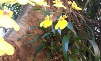 Imagem 7: CHACARA RESIDENCIAL em JUNDIAÍ - SP, VIVENDA