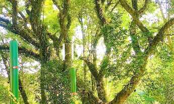 Imagem 3: CHACARA PARA VENDA COM 6400M2 COM LAGO POR R$ 1060.000,00 NO BAIRRO GUACURI, ITUPEVA SP