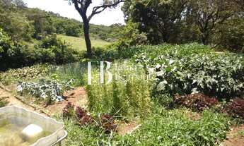 Imagem 3: SITIO A VENDA CABREUVA - SP