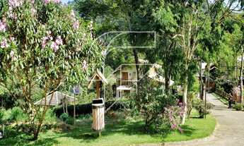 Imagem 6: Terrenos a venda em condomínio fechado Buenos Aires Country em Buenos Aires em meio a Mata