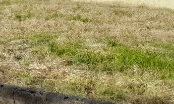 Imagem: TERRENO RESIDENCIAL em TIETÊ - SP, Jardim