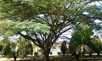 Imagem: Sitio para comprar em itatiba, sitio a venda