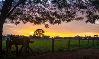 Imagem 7: Venda terrenos haras patente jaguariuna