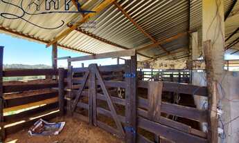 Imagem 2: Venda sitio em Santo Antonio de Posse