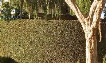 Imagem 6: CASA RESIDENCIAL em CAMPINAS - SP, nova campinas