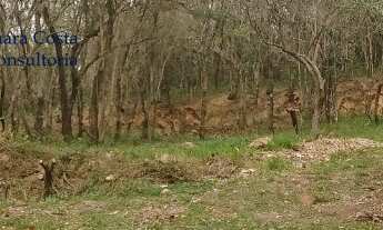 Imagem 2: Venda terreno em Sousas, condominio colinas do ermitage