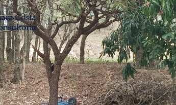 Imagem: Venda terreno em campinas no colinas do