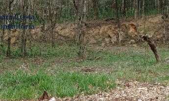 Imagem: Venda terreno em Sousas, condominio colinas