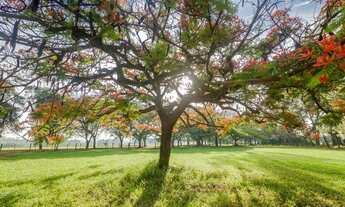 Imagem 6: Venda terrenos haras patente jaguariuna