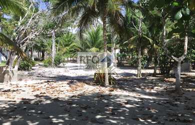 Imagem 7: Terreno à venda em Prado-BA, bairro Rio da Paixão: 10.000,00 m²! Pé na areia!!
