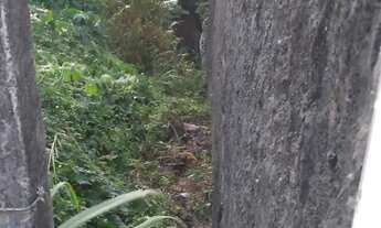 Imagem 4: TERRENO RESIDENCIAL em SALVADOR - BA, PATAMARES