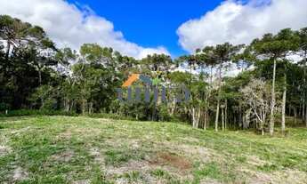 Imagem: Chacara, Fazenda, Sitio, Imobiliaria em