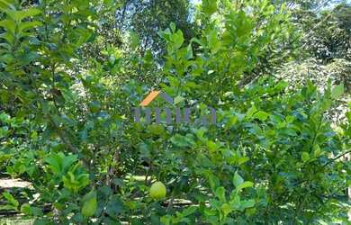 Imagem 4: Casa em Condominio Fechado Campo Alegre