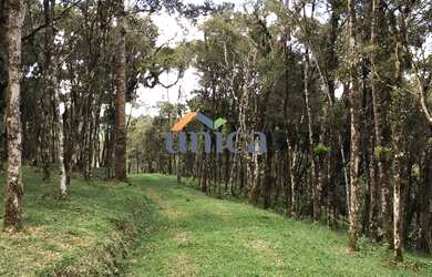 Imagem 4: Chácara Campo Alegre