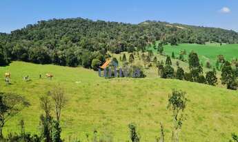 Imagem: Chácara, Fazenda, sítio - Campo Alegre