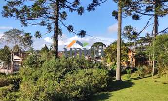 Imagem 2: Terreno - Urbano - Campo Alegre/SC