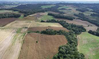 Imagem: Área/ Terreno - Campo Alegre