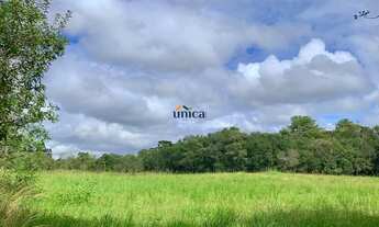 Imagem 4: Chácara/Terreno a venda em Área Urbana - Campo Alegre/SC Próximo Cervejaria MontSerrat