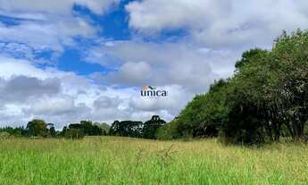 Imagem 5: Chácara/Terreno a venda em Área Urbana - Campo Alegre/SC Próximo Cervejaria MontSerrat