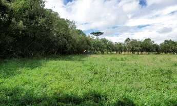 Imagem 6: Chácara/Terreno a venda em Área Urbana - Campo Alegre/SC Próximo Cervejaria MontSerrat
