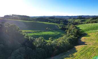 Imagem 4: Área em Campo Alegre - 40.000,00m²