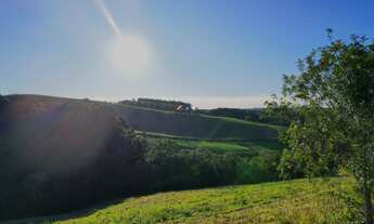 Imagem 3: Área em Campo Alegre - 40.000,00m²
