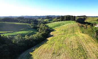 Imagem: Área em Campo Alegre - 40.000,00m²