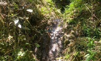 Imagem 6: Chácara à Venda 21.000 m² em Campo Alegre, SC