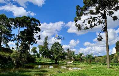 Imagem 6: Terreno - Campo Alegre - Comercial - Urbano