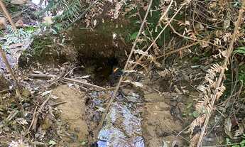 Imagem 4: Chácara à Venda 21.000 m² em Campo Alegre, SC