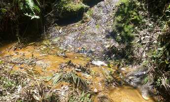 Imagem 5: Chácara à Venda 21.000 m² em Campo Alegre, SC