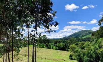 Imagem 3: Chácara à Venda 21.000 m² em Campo Alegre, SC