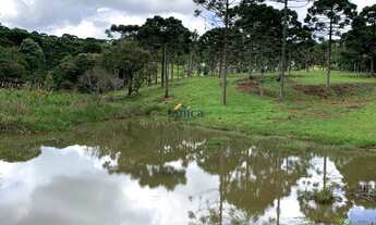 Imagem: CHÁCARA RURAL em CAMPO ALEGRE - SC, CENTRO