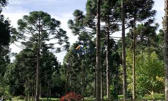 Imagem 3: AREA RURAL em CAMPO ALEGRE - SC, CENTRO