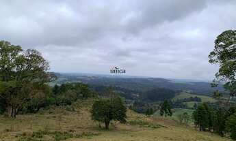 Imagem 6: CHÁCARA RURAL em CAMPO ALEGRE - SC, CAMPO ALEGRE