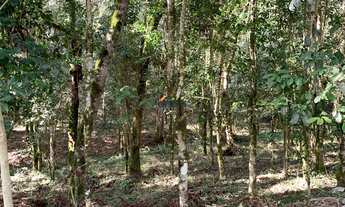 Imagem: TERRENO RESIDENCIAL em SÃO BENTO DO SUL
