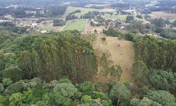 Imagem 4: CHÁCARA RURAL em CAMPO ALEGRE - SC, CAMPO ALEGRE